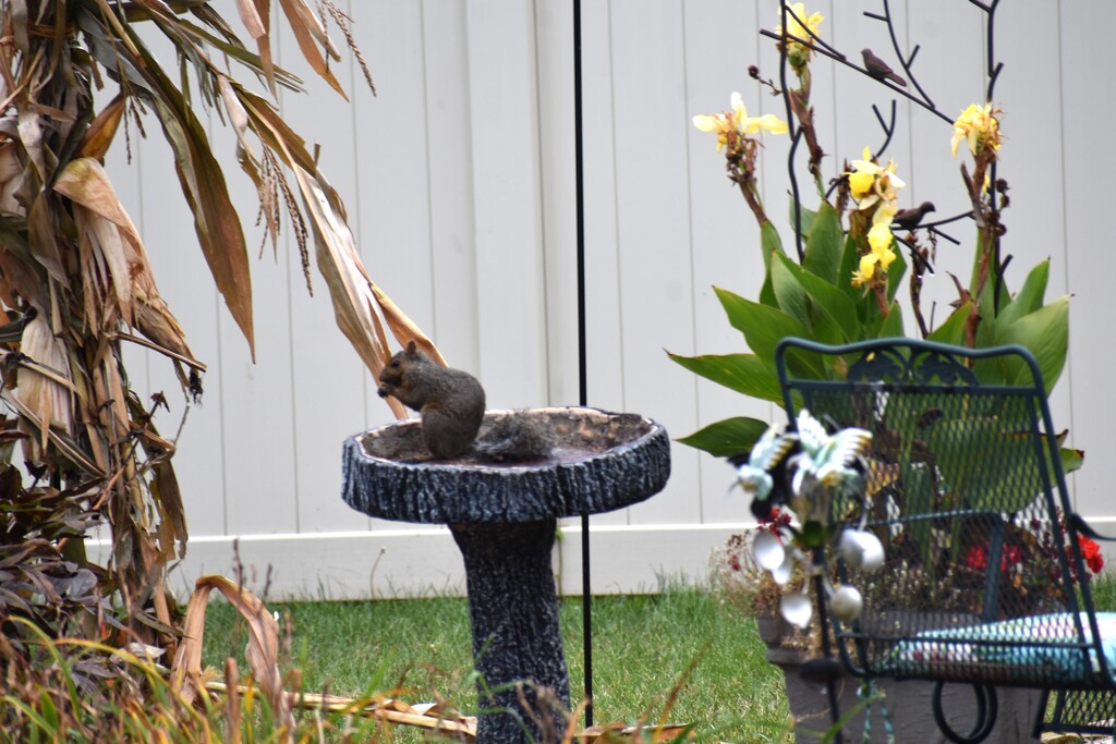 Snack Time by lisab514