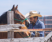 12th Sep 2025 - back in their pen