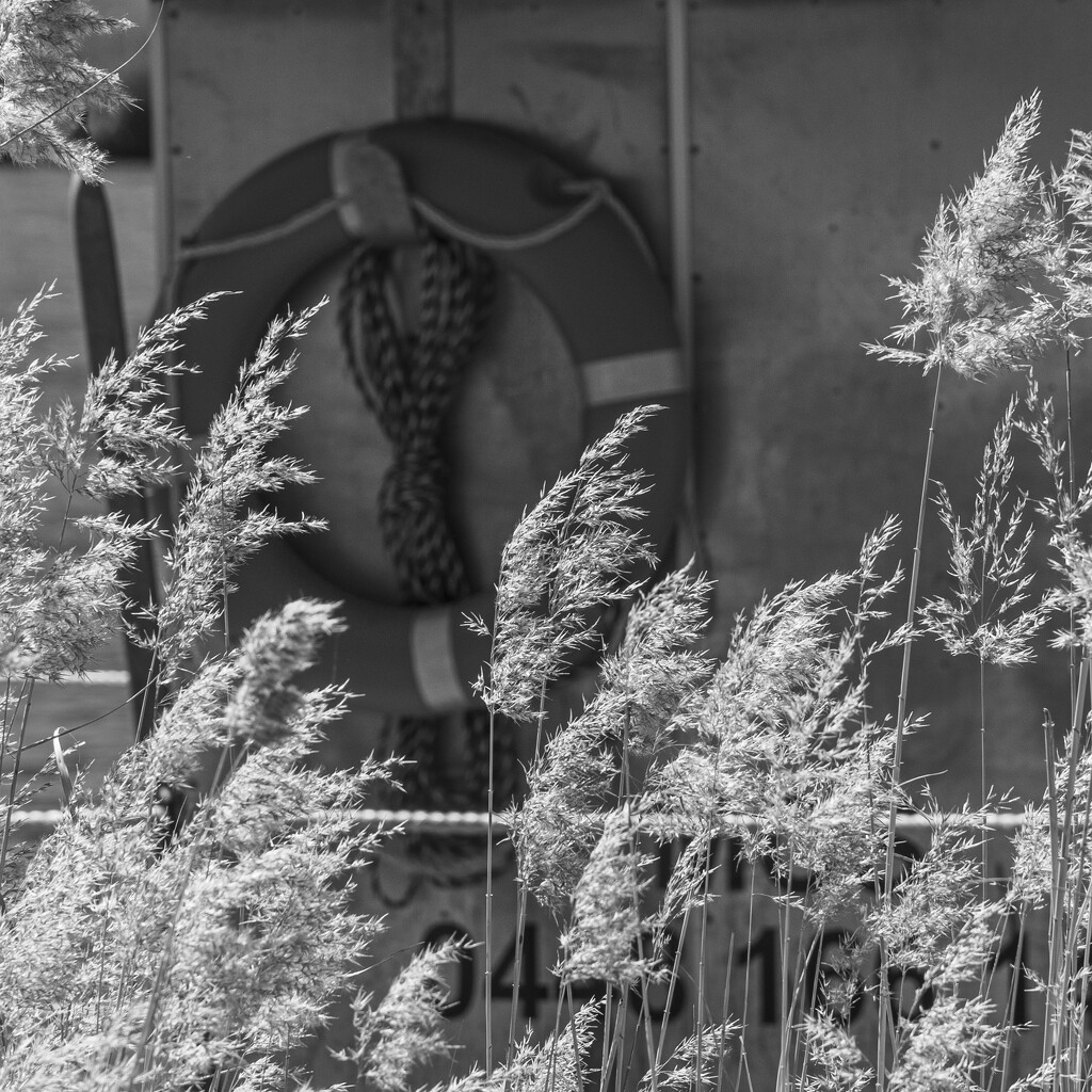 Murray River by nannasgotitgoingon