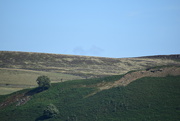 13th Sep 2025 - Horizon - Hills