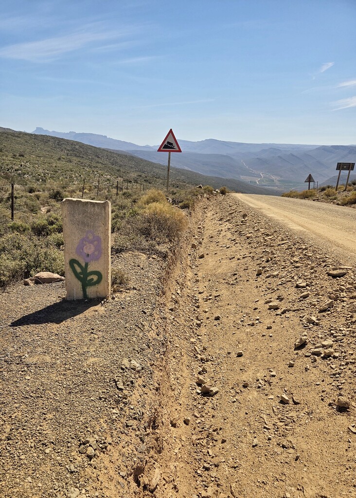 Graffiti even on roads less travelled  by salza