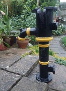 14th Sep 2025 - Still raining