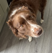 14th Sep 2025 - Yankee