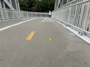 12th Sep 2025 - Fallen Flower