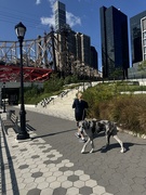 11th Sep 2025 - The real life scene