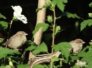 14th Sep 2025 - Just Chilling