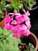 15th Sep 2025 - In the Spring 