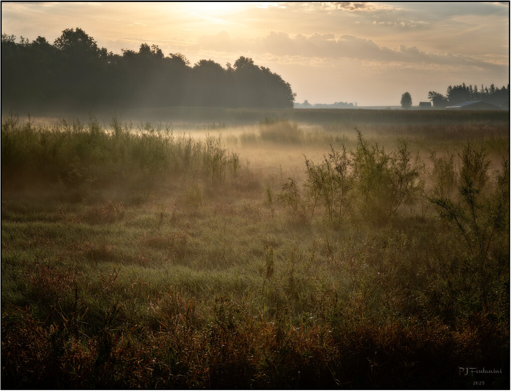 Sunny With a Chance of Patchy Fog by bluemoon