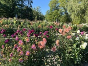 14th Sep 2025 - 14september