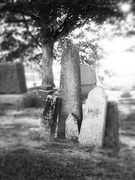 15th Sep 2025 - Collecting the Broken