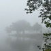 Foggy Morning on the Lake  by radiogirl