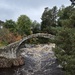 Carrbridge Packhorse Bridge, Scotland by gailmoore