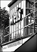 15th Sep 2025 - bw-98