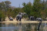 16th Sep 2025 - Botswana Day 5 - 4