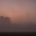 Tree and fog by darchibald