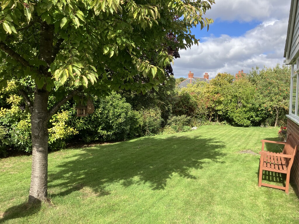 More Autumnal  by g3xbm