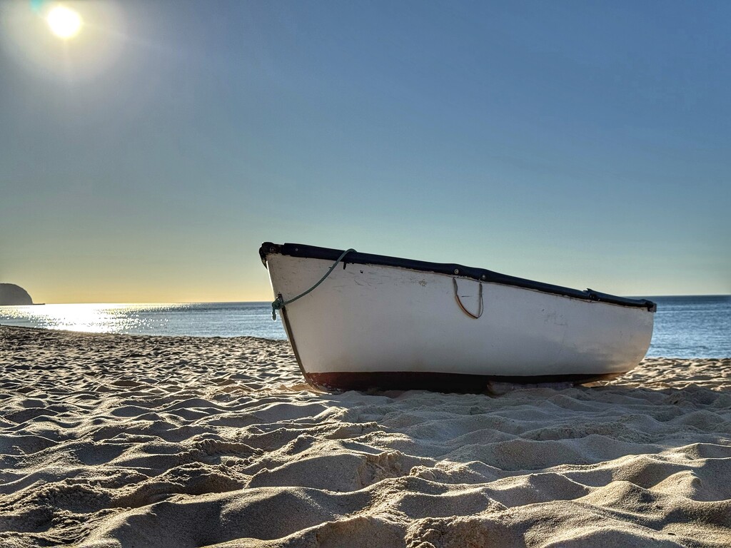 Ready and Waiting  by cmf