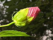 16th Sep 2025 - 16september