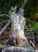 16th Sep 2025 - Stop Begging