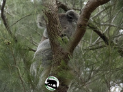 16th Sep 2025 - yep we see each other