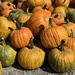 Pumpkin Time