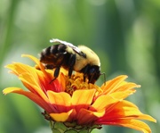 17th Sep 2025 - Like Attracts Like