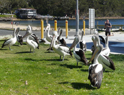 18th Sep 2025 - Waiting For Fish