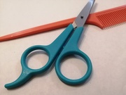 17th Sep 2025 - 30 Days of Teal: Day 17-- Barber's Scissors