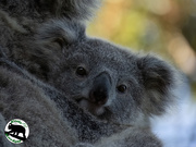 17th Sep 2025 - meet Eden