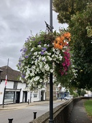 18th Sep 2025 - Soham, UK