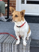 18th Sep 2025 - On the Alert