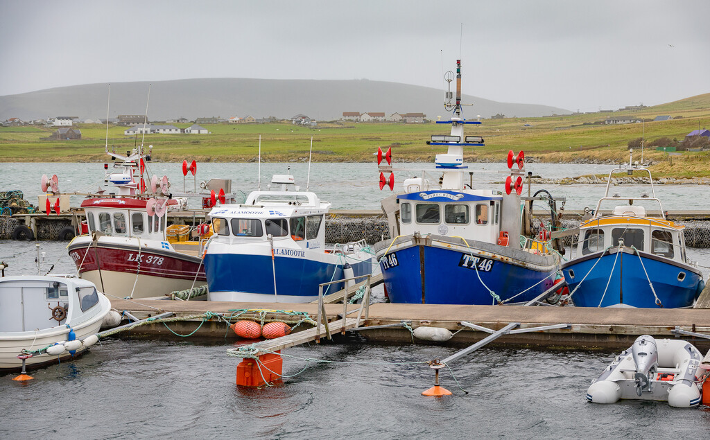 Ness Marina by lifeat60degrees