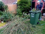 18th Sep 2025 - The bamboo has to go