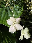 18th Sep 2025 - 18september