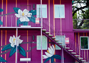 17th Sep 2025 - Only in New Orleans