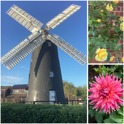 19th Sep 2025 - Facing us