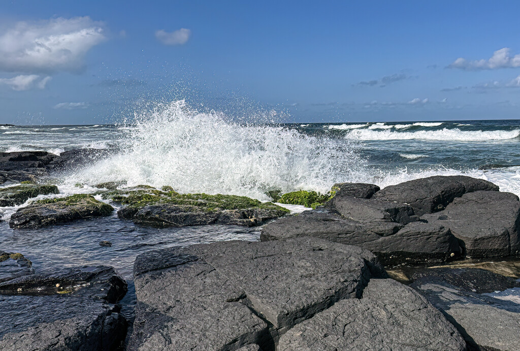 a beach day by koalagardens