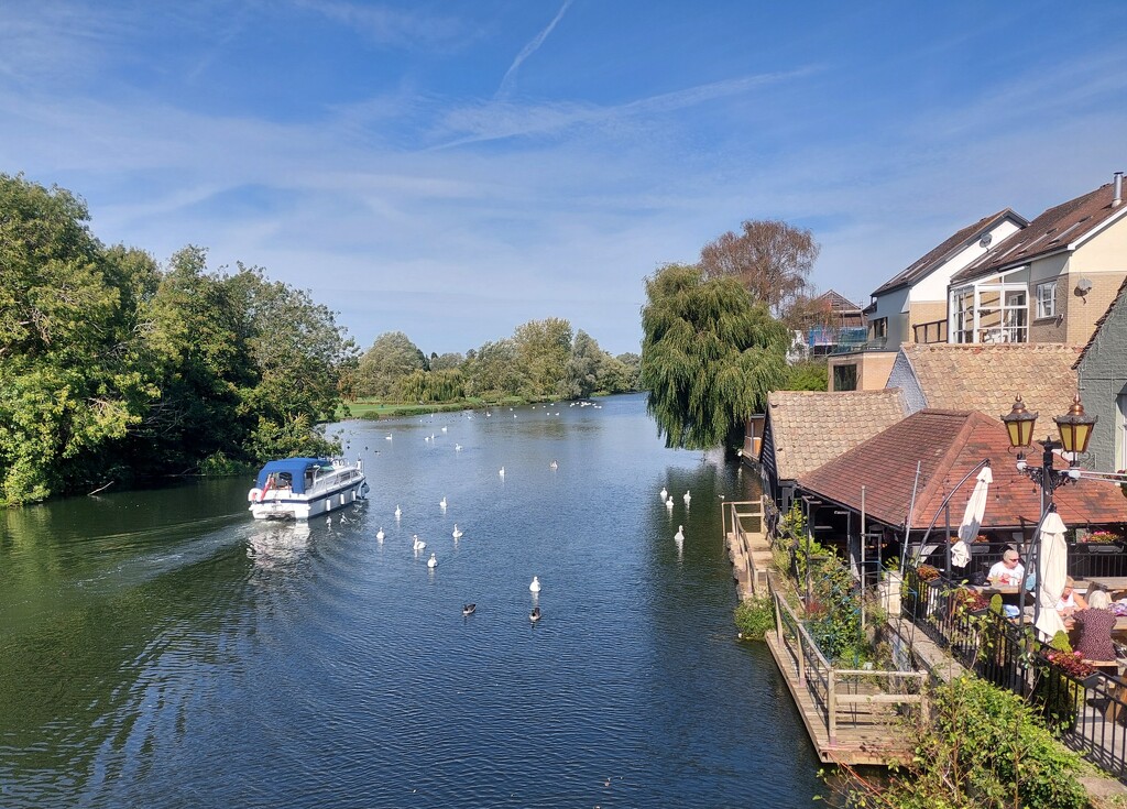 Enjoying the view  by busylady