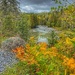 Fall colours are changing daily! by radiogirl