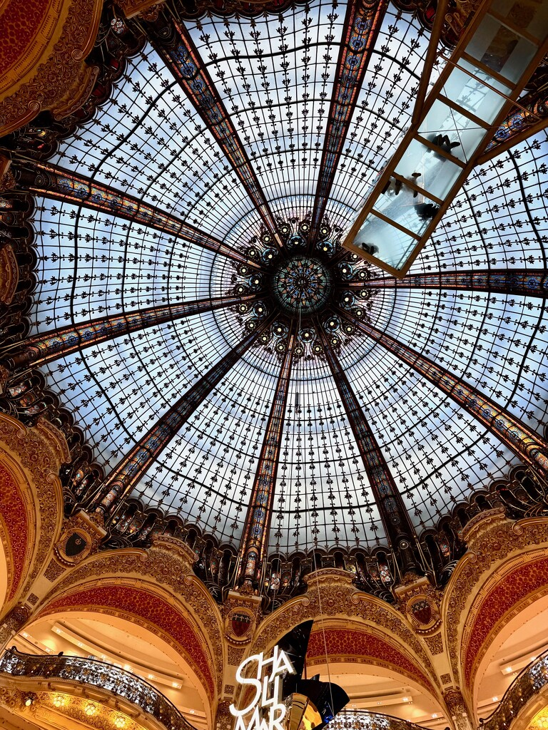 Ceiling.  by cocobella