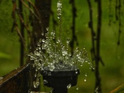 19th Sep 2025 - 19september