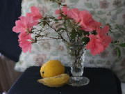 19th Sep 2025 - A month of filters: Azaleas with fruit