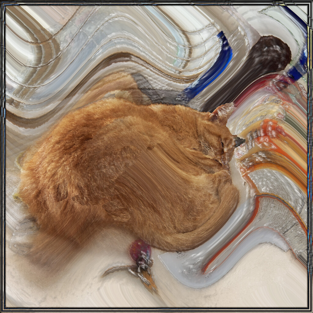 This kitty can sleep through everything by 365projectorgchristine