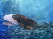 20th Sep 2025 - I keep my home very clean 