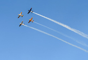 12th Sep 2025 - In Formation