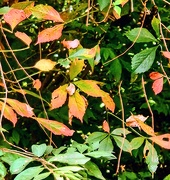 20th Sep 2025 - Turning