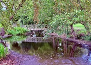 20th Sep 2025 - Buslingthorpe Moat