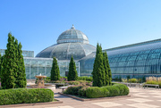 20th Sep 2025 - Marjorie McNeely Conservatory