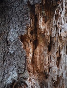 20th Sep 2025 - Don't Make Eye Contact