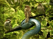 20th Sep 2025 - 20september